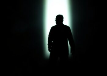 the shadow followed