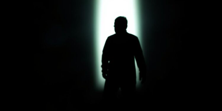 the shadow followed