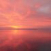 the sky turned pink